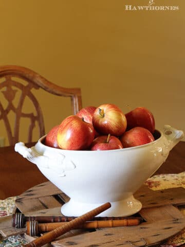 Using apples to create an inexpensive fall centerpiece in addition to other cheap, quick and easy DIY fall home decor ideas.