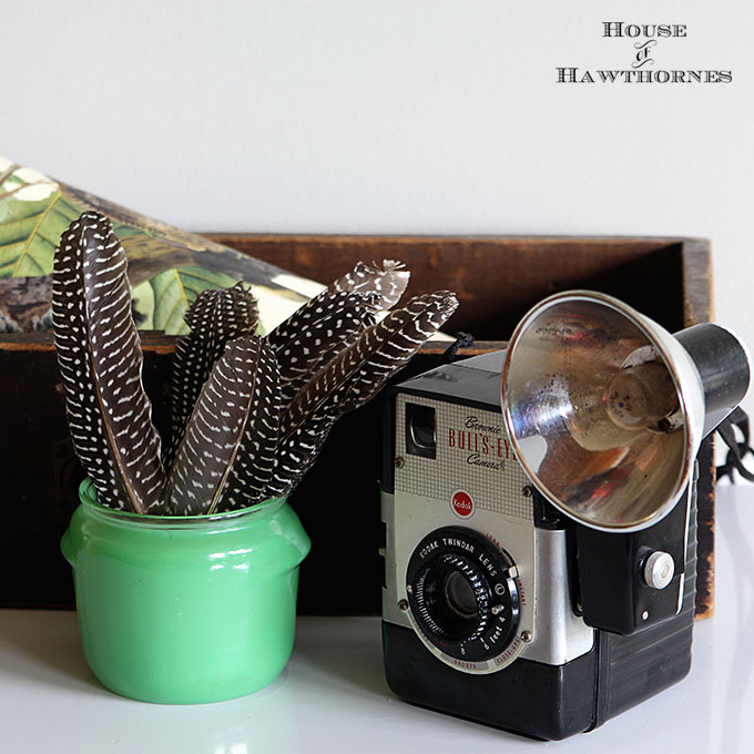 Vintage vignette with a Brownie Bull's-Eye Camera, old wooden drawer, feathers, vintage bird print and jadeite Walker's Honey Whip jar.