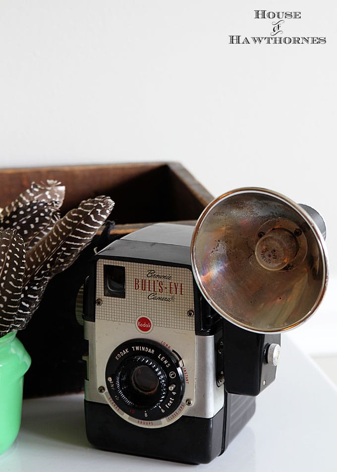 Vintage vignette with a Brownie Bull's-Eye Camera, old wooden drawer, feathers, vintage bird print and jadeite Walker's Honey Whip jar.