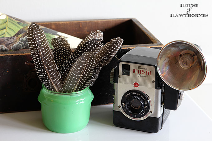 Vintage vignette with a Brownie Bull's-Eye Camera, old wooden drawer, feathers, vintage bird print and jadeite Walker's Honey Whip jar.