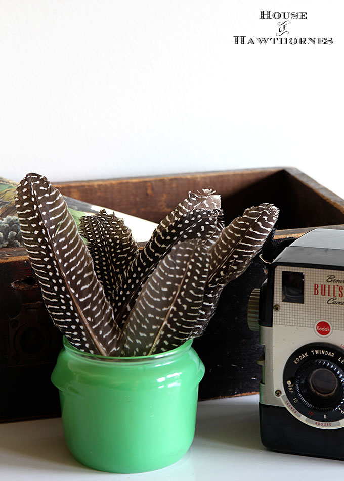 Vintage vignette with a Brownie Bull's-Eye Camera, old wooden drawer, feathers, vintage bird print and jadeite Walker's Honey Whip jar.