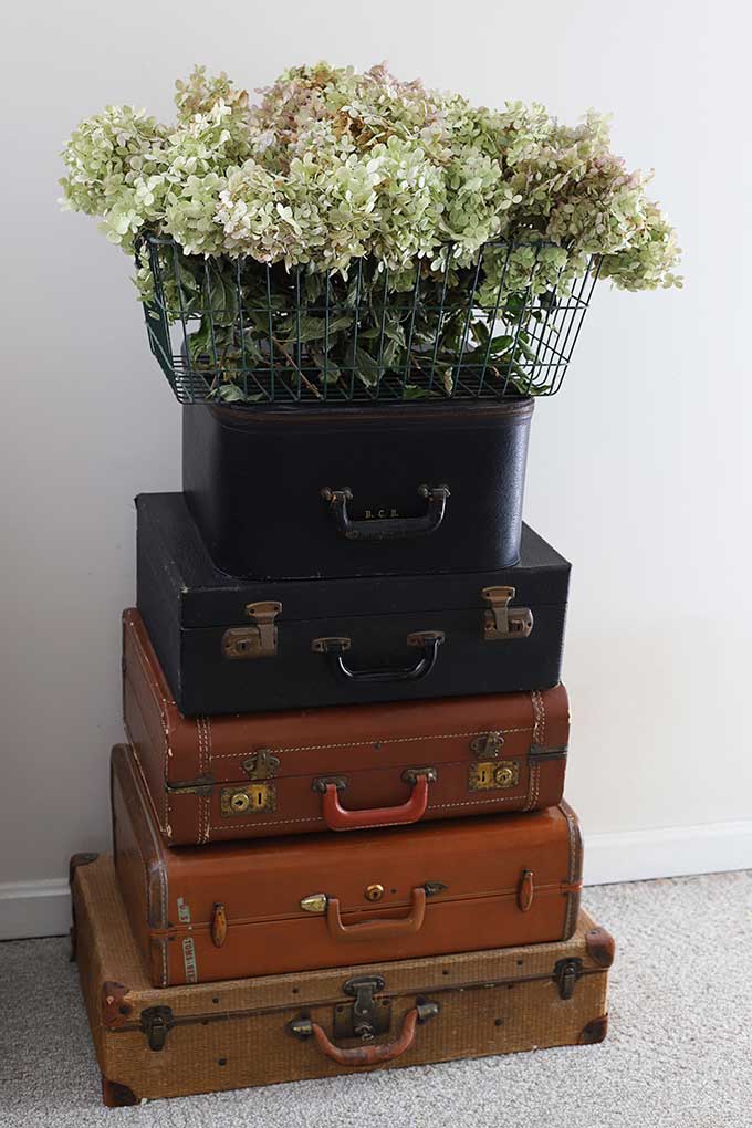 Basket of dried hydrangea - instructions on how to dry hydrangea 