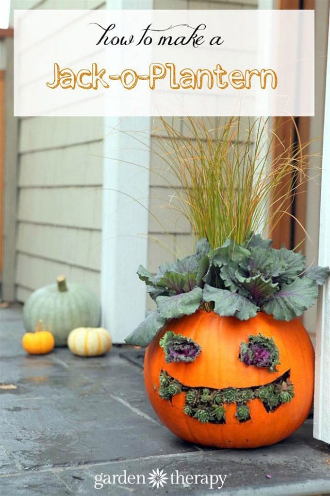 Unique scarecrow ideas for the garden - Jack-o-platern via gardentherapy.ca