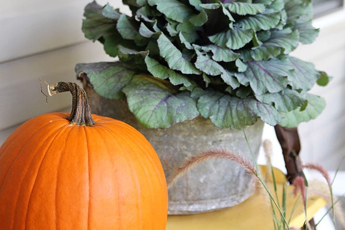 Pumpkin and kale on a fall front porch.