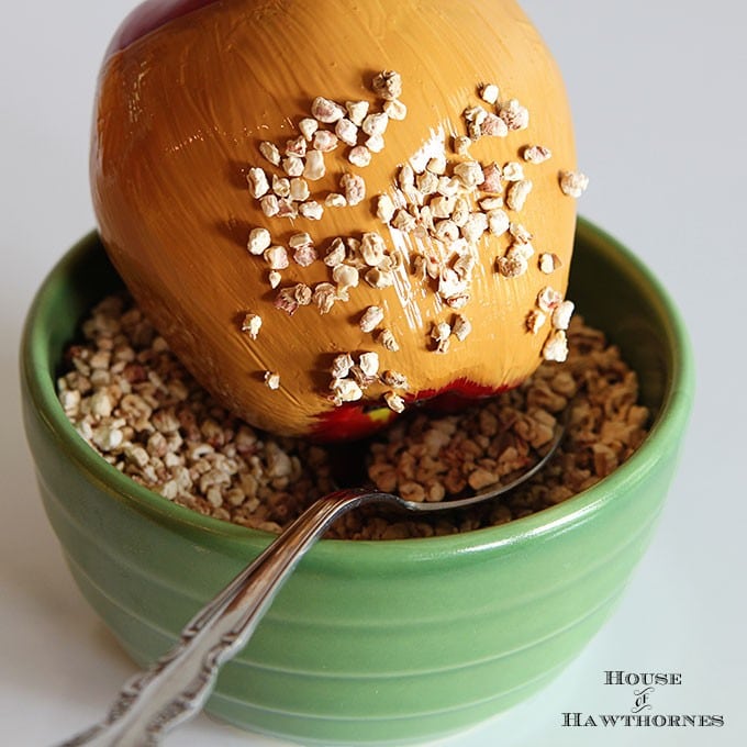 Quick and easy instruction for how to make DIY faux caramel apples for your fall decor. They are great for Halloween decorations also and they last years.