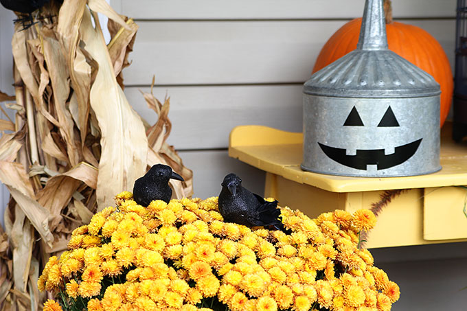 Quick and easy Halloween decorating ideas for your porch. An inexpensive way to transition the porch from fall to Halloween decor with just a few additions. 