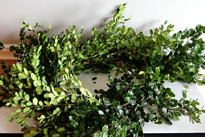 Learn how to make a super quick and easy boxwood wreath. And did I mention it is cheap? Perfect for the holidays, yet looks great any time of the year.