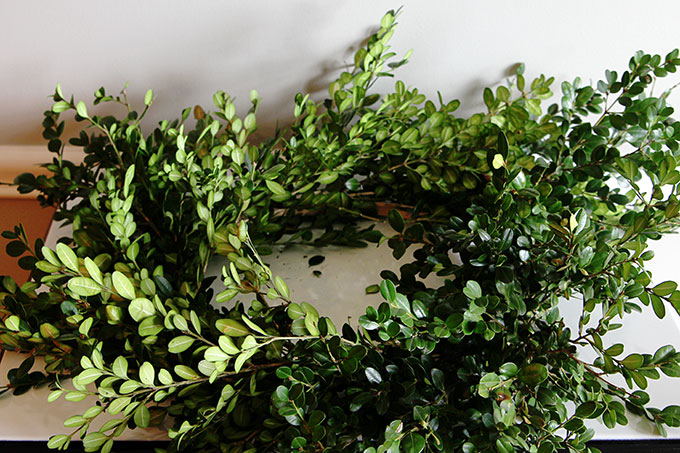 Learn how to make a super quick and easy boxwood wreath. And did I mention it is cheap? Perfect for the holidays, yet looks great any time of the year.