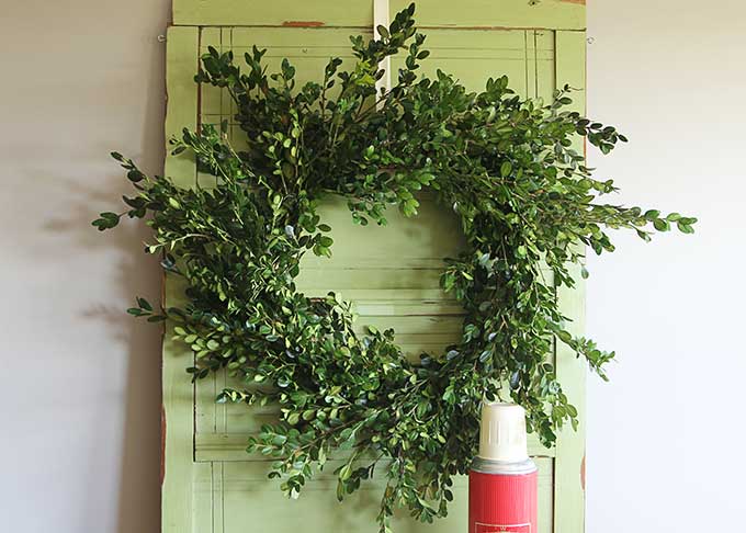 How to make a real boxwood wreath