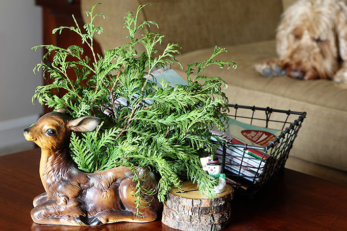 Vintage planters are a dime a dozen at thrift stores. Using them for storage is a great way to repurpose them and add some whimsy to your home decor.