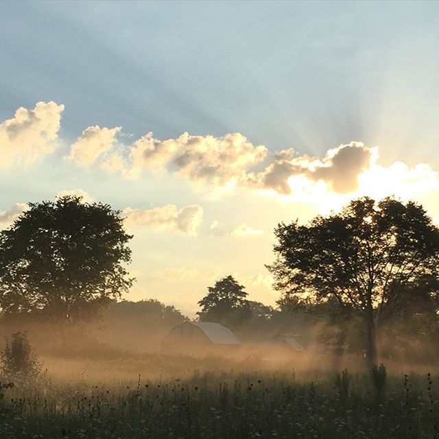 Sunrise over the farm