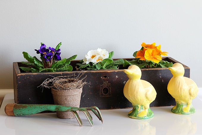 Decorating with flowers is a pretty way to add farmhouse decor to your home. Use repurposed items as planters and vases for that Fixer Upper farmhouse look.