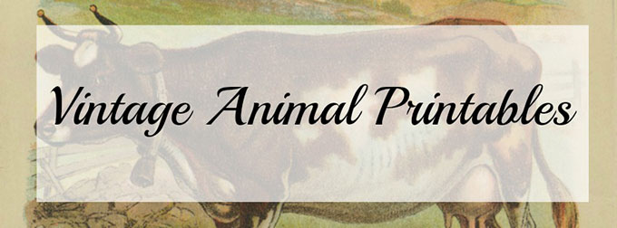 Vintage-Animal-Printables