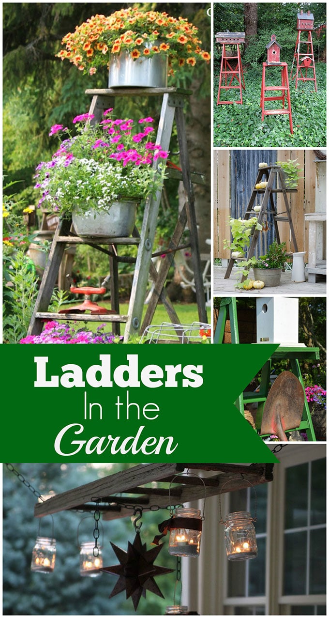 Use a wooden ladder as garden art in the flower beds this summer. They add much needed height to the garden and a place to display bird houses and planters.