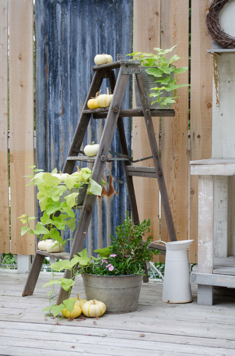 Use a wooden ladder as garden art in the flower beds this summer. They add much needed height to the garden and a place to display bird houses and planters.