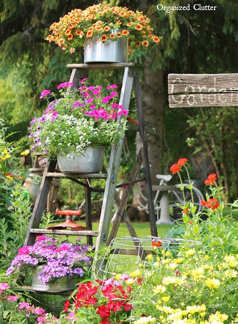 Use a wooden ladder as garden art in the flower beds this summer. They add much needed height to the garden and a place to display bird houses and planters.