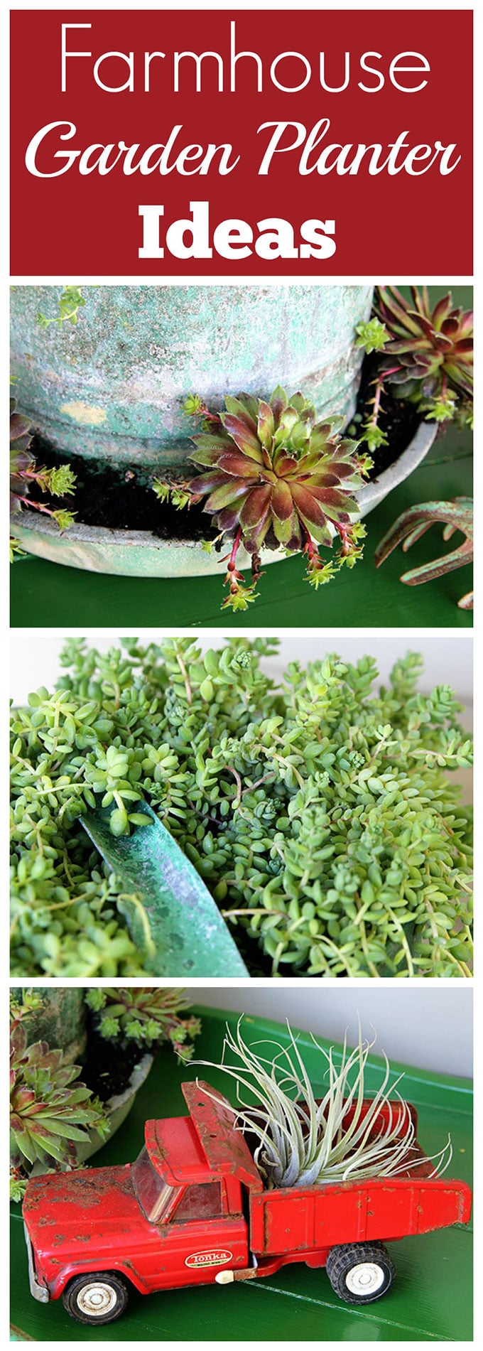 A chicken feeder or waterer filled with succulents is a great way to add a little farmhouse decor to your garden, porch or patio this summer. Other farmhouse garden planter ideas and tips on growing succulents are included!