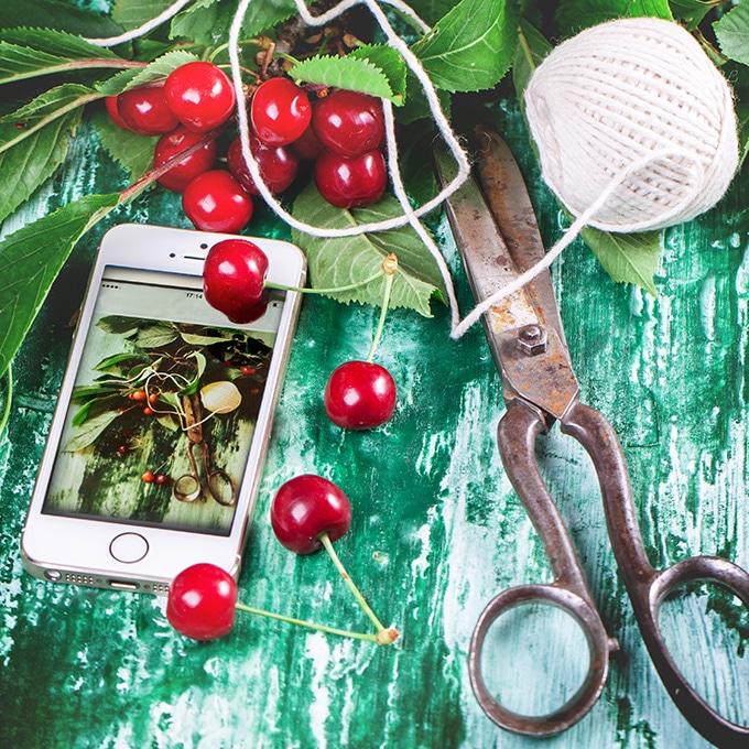 The best gardening apps to help you plan a successful garden this summer. We use smart phones for everything else, so why not bring them into the garden.