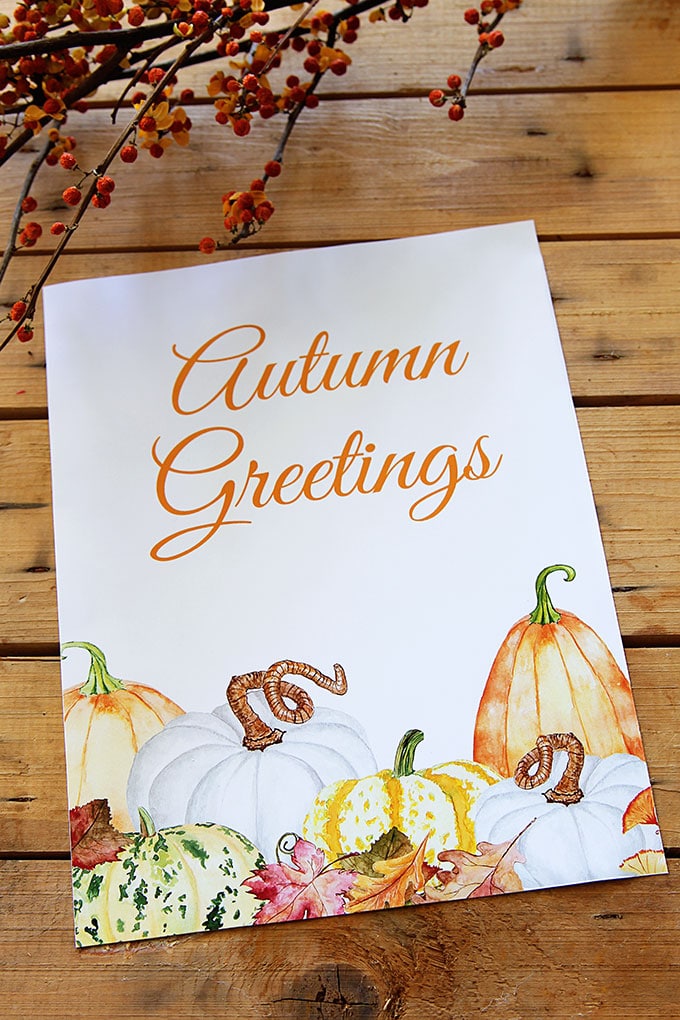 Get this free fall printable with watercolor pumpkins and gourds! Frame it or just print it out and use it for instant DIY autumn home decor.