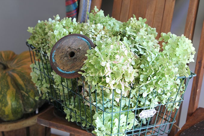 Quick and easy ideas for fall decor in the entryway using hydrangeas and thrift store finds. LOTS of seasonal vintage eclectic home decor inspiration.