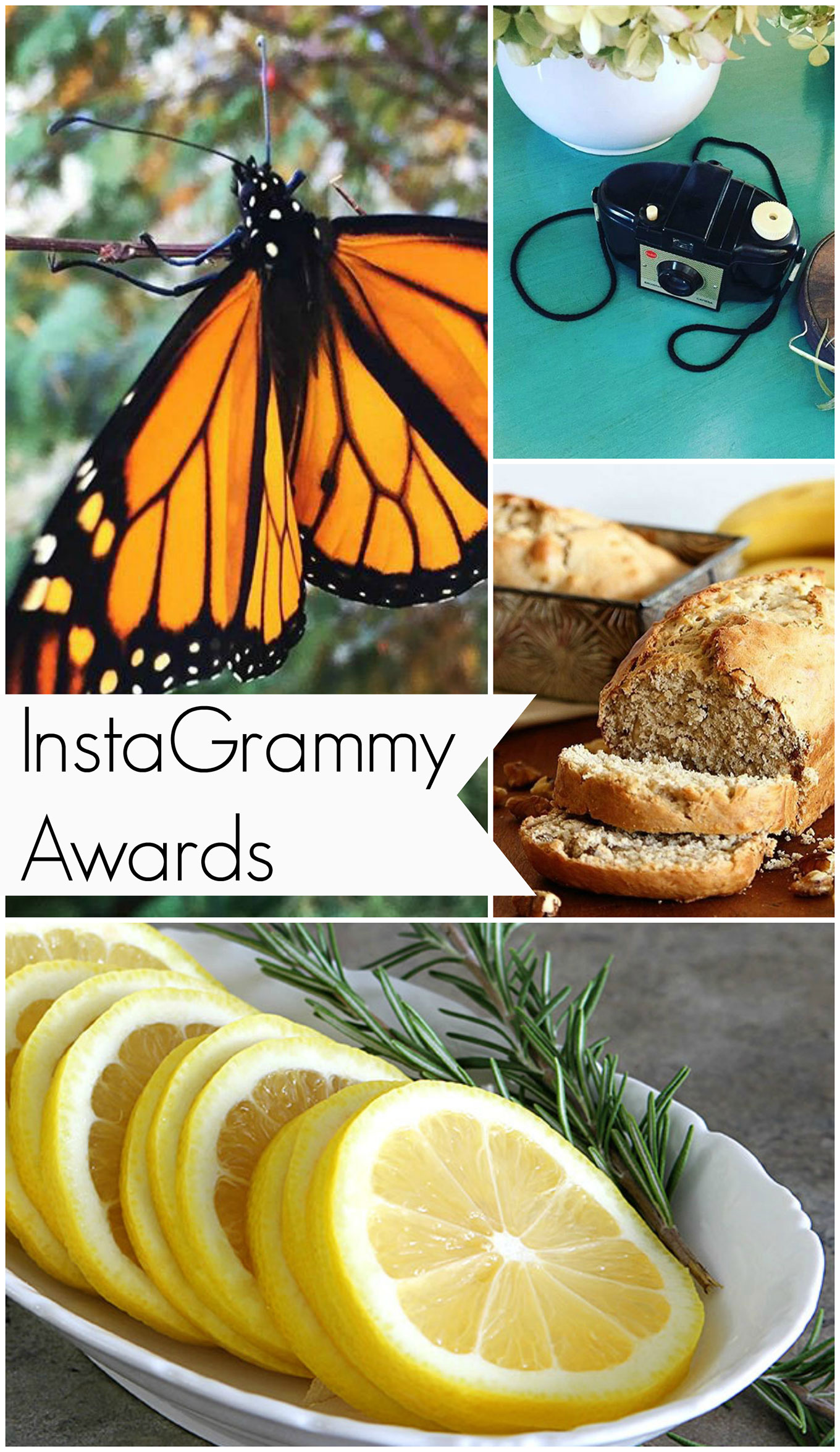 The Grammy Awards for Instagram aka the InstaGrammys is where I showcase my top photos from Instagram this year and give myself a trophy or two.