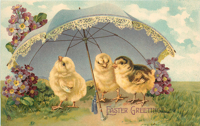 Vintage Easter images - printable Tuck postcard image - chick under umbrella