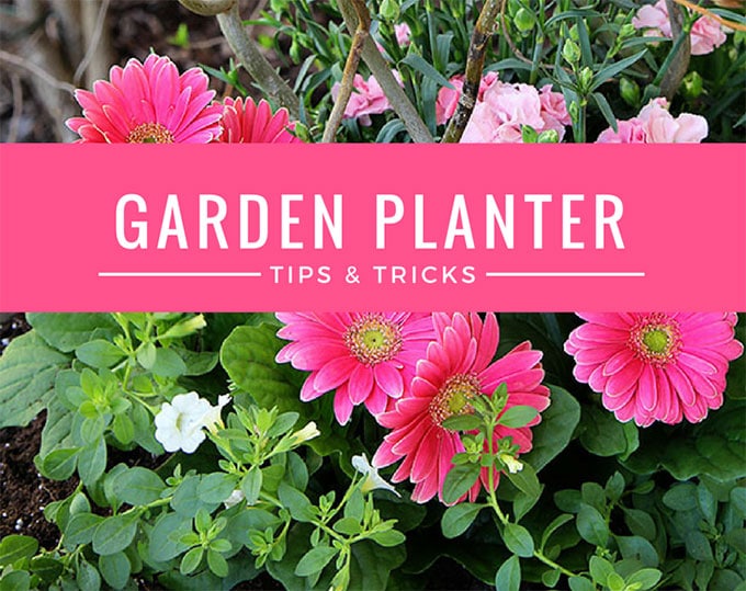 5 Easy Steps To Beautiful Garden Planters House of Hawthornes