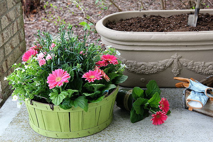 Beautiful plant pots discount