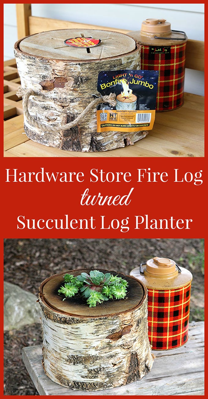 How to make your own log planter for succulents using a bonfire log you can buy at your local hardware store. DIY succulent log planter without cutting down your own tree!