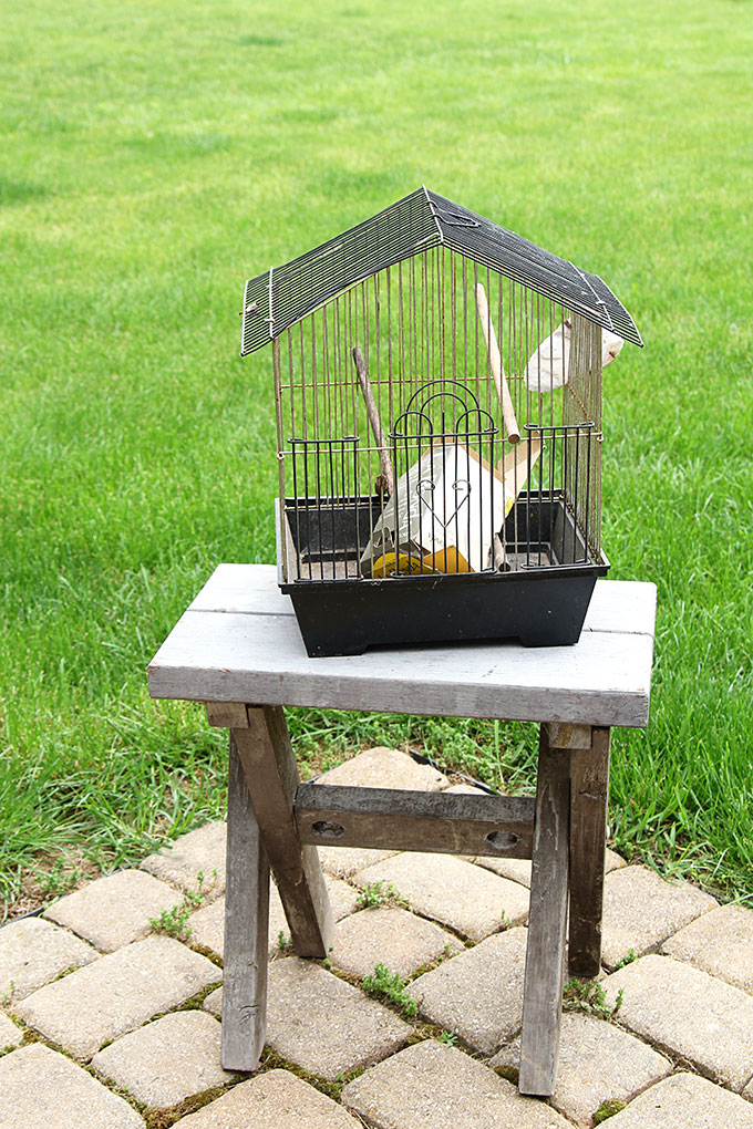 Birdcage being repurposed into a flower planter