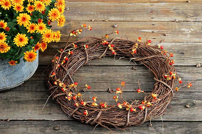 Making a fall wreath from Michaels