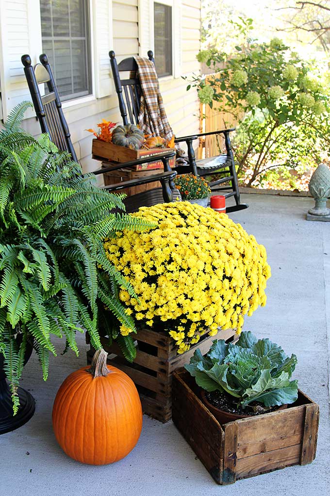 Farmhouse Front Porch Fall Decor - House of Hawthornes