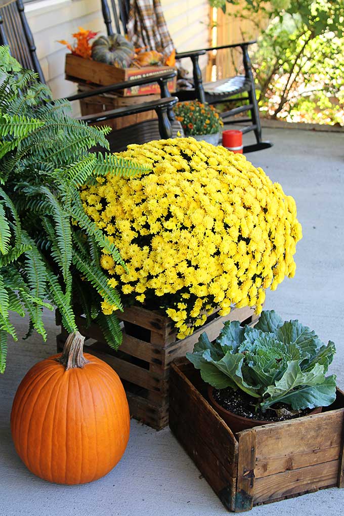 Farmhouse Front Porch Fall Decor - House of Hawthornes Farmhouse Front Porch Fall Decor - House Of Hawthornes
