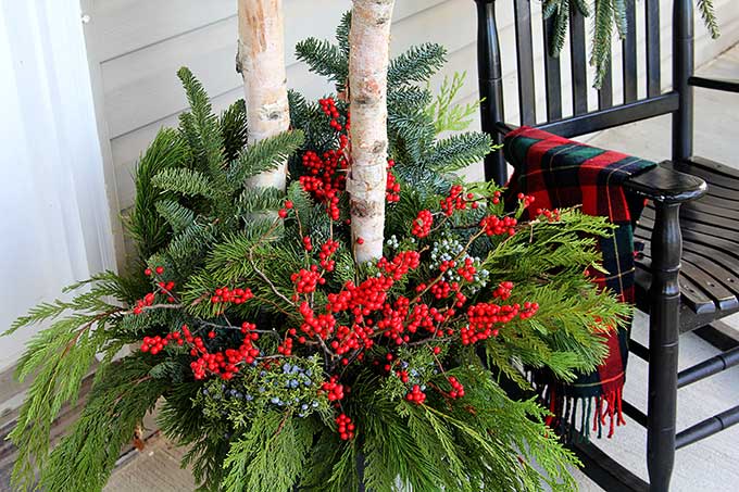 Birch branches and Winterberry winter porch pots