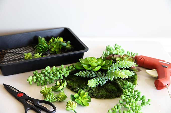 Making faux succulent dish