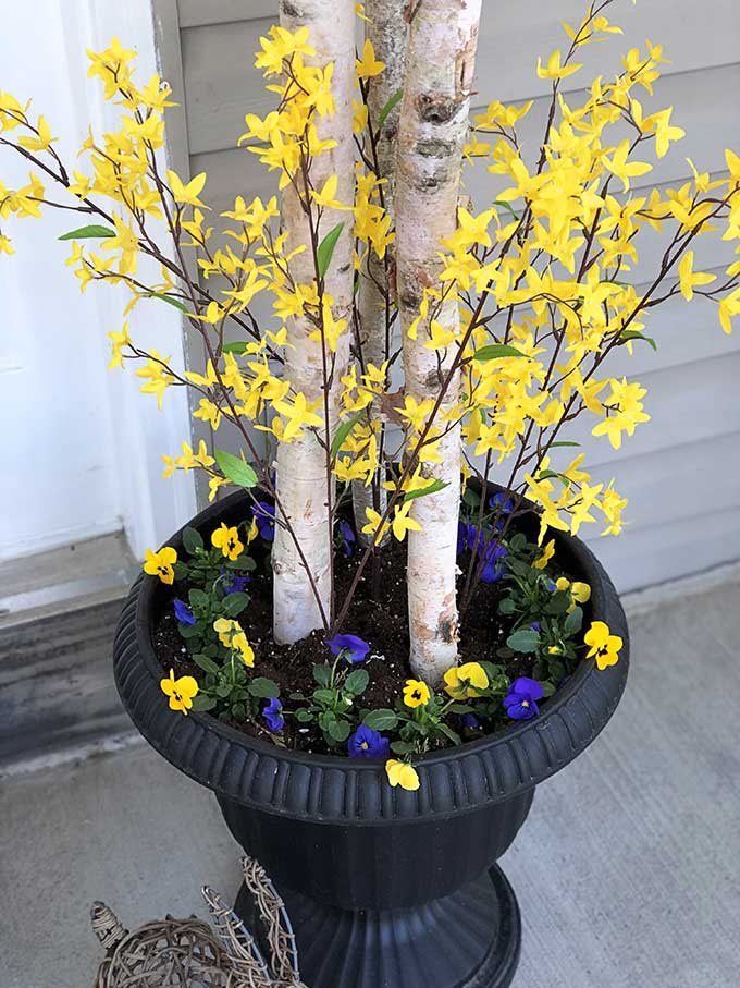 Easy 5 Minute Spring Porch Pot Refresh - House Of Hawthornes