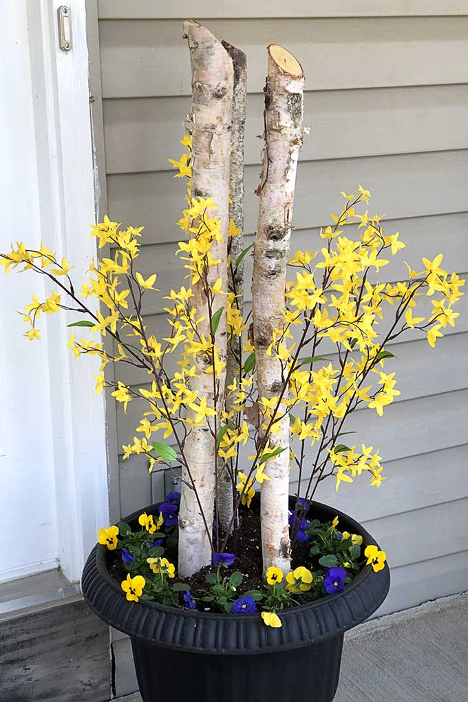 Quick and easy spring porch pot inspiration for transforming your tired winter pots to beautiful spring porch decor. A great front porch decorating idea on a budget!