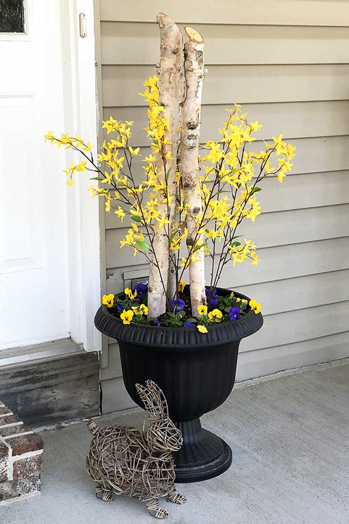 Quick and easy spring porch pot inspiration for transforming your tired winter pots to beautiful spring porch decor. A great front porch decorating idea on a budget!