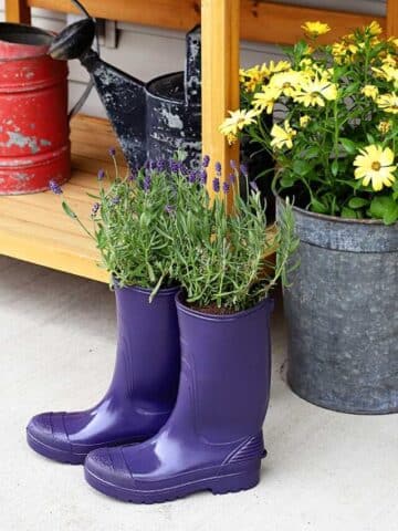 cropped-how-to-make-rubber-boot-planters-1210.jpg