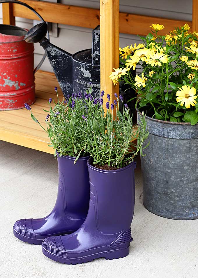 Garden planters out of old rubber boots, a fun upcycled planter idea and a great way to repurpose your old boots!