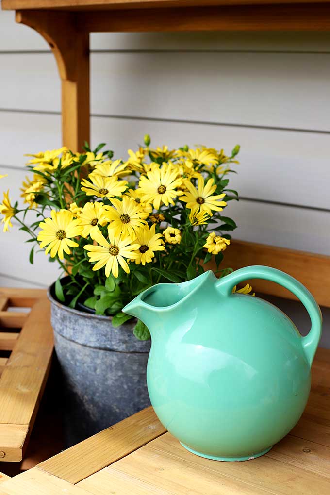 Vintage ball pitcher, possibly a Hall water pitcher