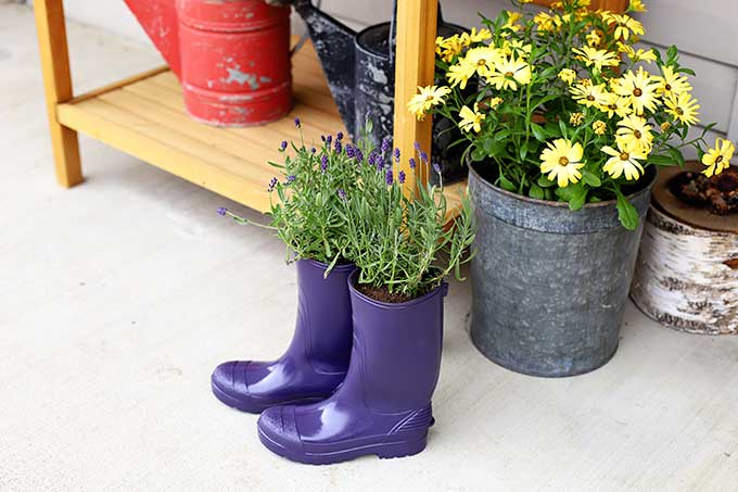 How to make planter from rubber boots