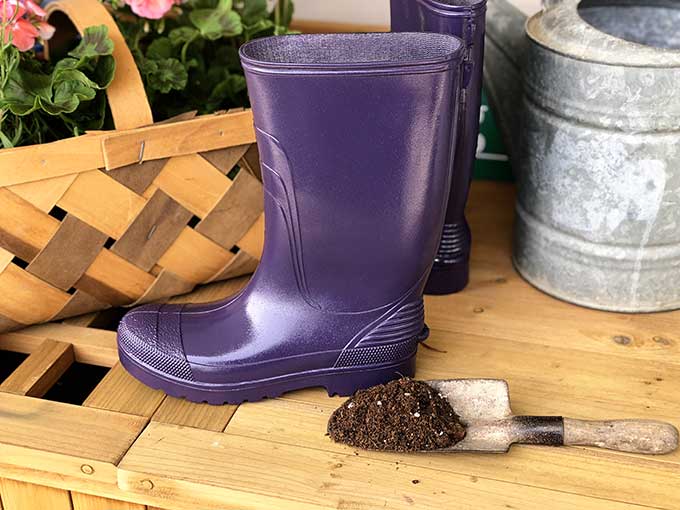 Filling rubber boots with potting soil for rain boot planters