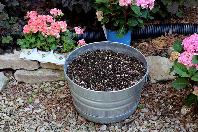 Preparing soil for container gardening