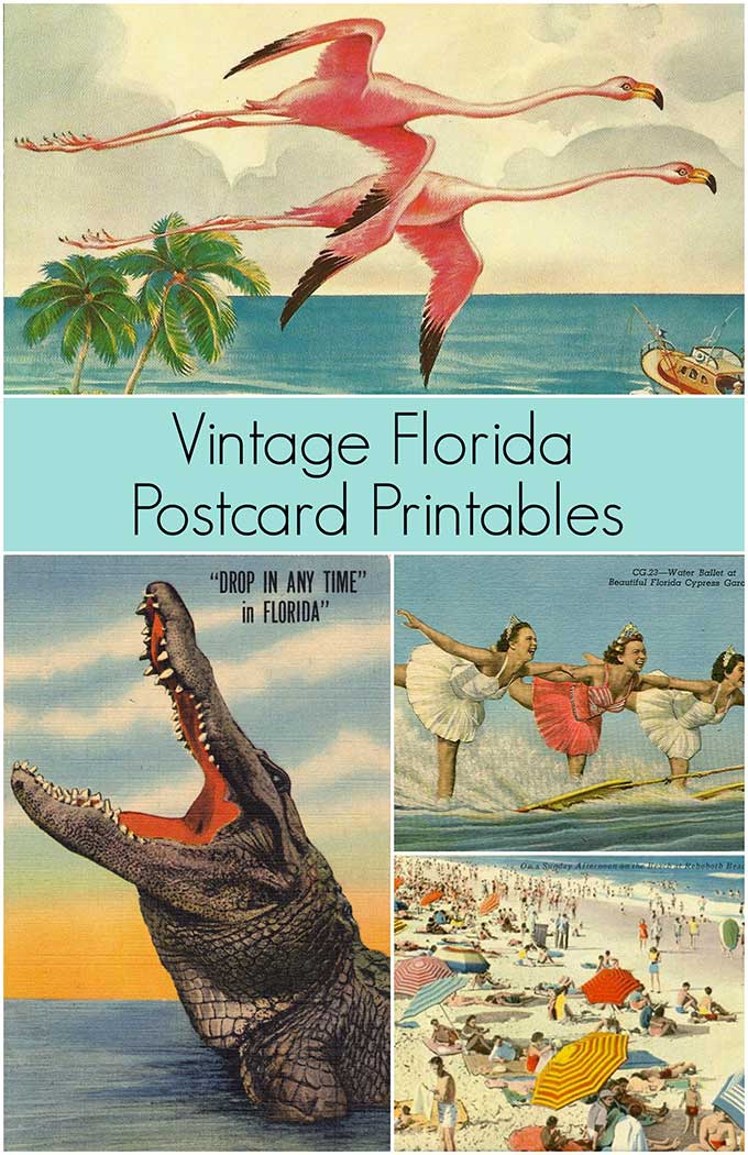 vintage Florida postcards