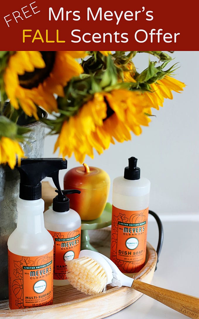 Mrs Meyer's FALL cleaning set FREE with additional purchase from Grove Collaborative. Your choice of Spiced Pumpkin, Apple Cider, Acorn Spice, Pear Tree or Mum scented cleaning supplies! It's time to get your fall on! 