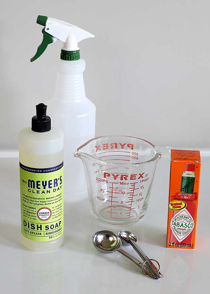 Homemade Squirrel Repellent Recipe | House of Hawthornes