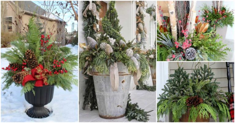 7 Christmas Planter Ideas and Tips to Decorate Holiday Containers