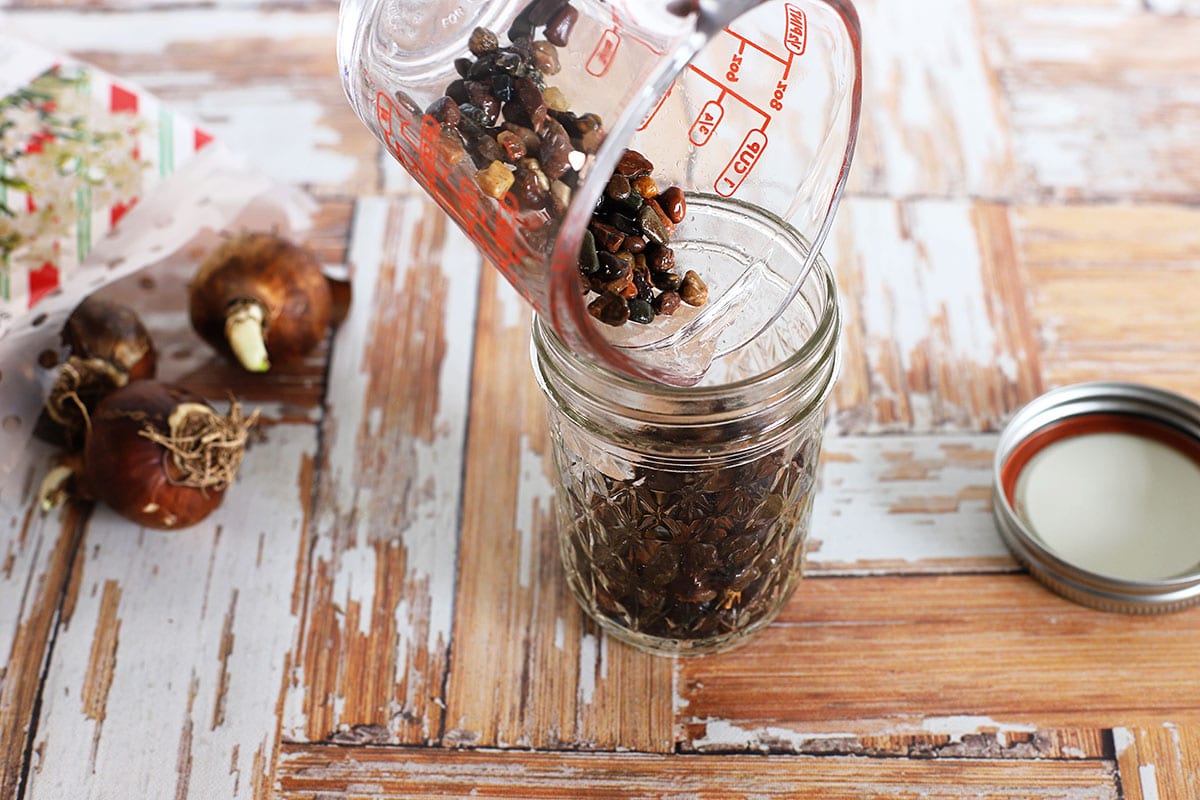 Adding gravel to the bottom of the mason jar so I can plant paperwhites.