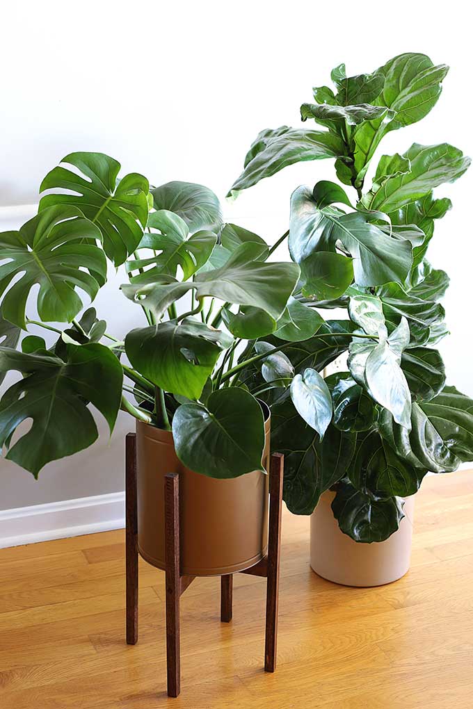 DIY Plant Stand by House of Hawthorne